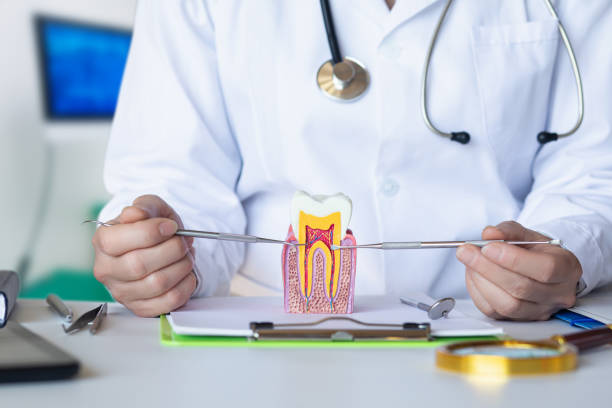 Best Pediatric Emergency Dentist in Timberville, VA